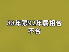 88年跟92年属相合不合:两个