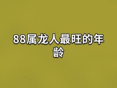 88属龙人最旺的年龄:33岁