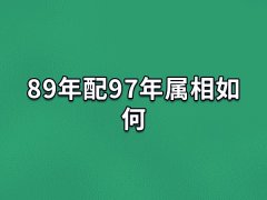 89年配97年属相如何:比较般