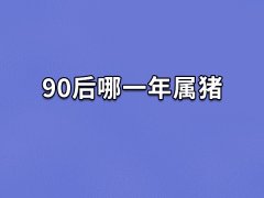 90后哪一年属猪:1995年(农历