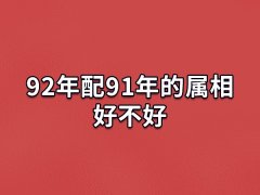 92年配91年的属相好不好