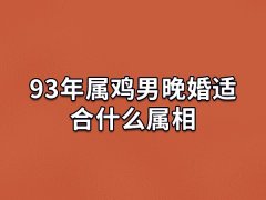 93年属鸡男晚婚适合什么属