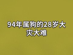 94年属狗的28岁大灾大难