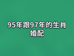 95年跟97年的生肖婚配:婚姻