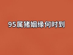 95属猪姻缘何时到:虎年/龙