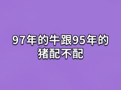 97年的牛跟95年的猪配不配