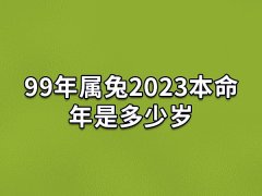 99年属兔2023本命年是多少岁:二十四岁(处事谨慎)