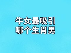 牛女最吸引哪个生肖男:属