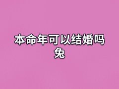 本命年可以结婚吗兔:可以结婚(影响不大)