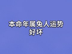 本命年属兔人运势好坏:事业运下滑(经济压力大)