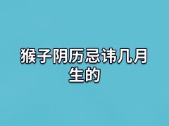 猴子阴历忌讳几月生的:二月/十月/十二月