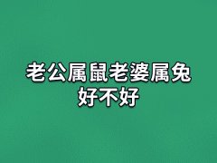 老公属鼠老婆属兔好不好:合适的一对(互相信任)