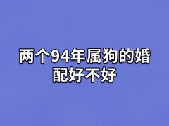 两个94年属狗的婚配好不好