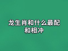 龙生肖和什么最配和相冲