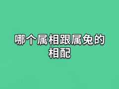 哪个属相跟属兔的相配:属羊/属狗/属猪