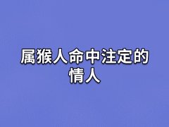 属猴人命中注定的情人:生肖龙/生肖鼠/生肖蛇