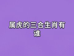 属虎的三合生肖有谁:生肖