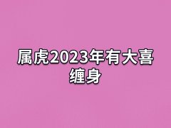 属虎2023年有大喜缠身,属虎