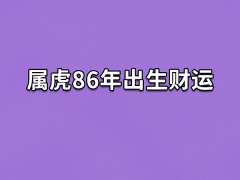 属虎86年出生财运:收入稳