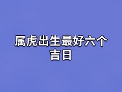 属虎出生最好六个吉日:初