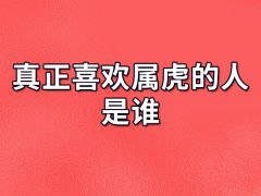 真正喜欢属虎的人是谁:生