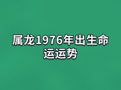 属龙1976年出生命运运势