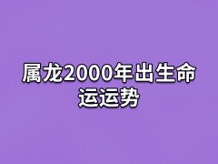 属龙2000年出生命运运势