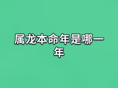 属龙本命年是哪一年,哪些