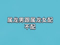 属龙男跟属龙女配不配