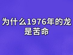 为什么1976年的龙是苦命