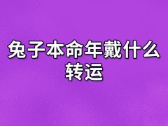 兔子本命年戴什么转运