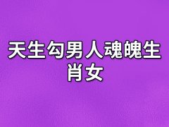 天生勾男人魂魄生肖女:属猪女/属兔女/属鸡女/属鼠女