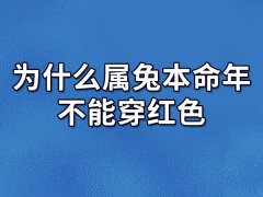 为什么属兔本命年不能穿红色-属兔本命年可以穿红色吗