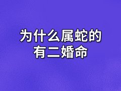 为什么属蛇的有二婚命:内