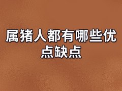 属猪人都有哪些优点缺点