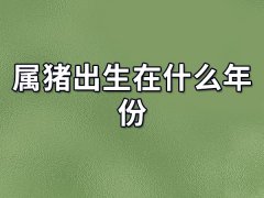 属猪出生在什么年份:201