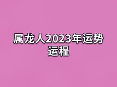 属龙人2023年运势运程:事业