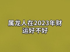 属龙人在2023年财运好不好