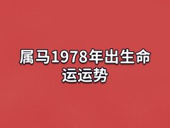 属马1978年出生命运运势