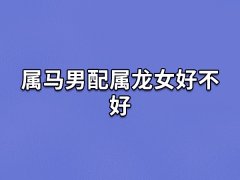 属马男配属龙女好不好:令