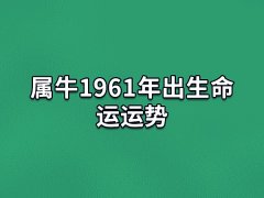 属牛1961年出生命运运势