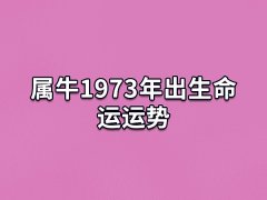 属牛1973年出生命运运势