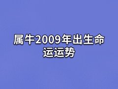 属牛2009年出生命运运势