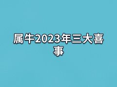 属牛2023年三大喜事:升职加