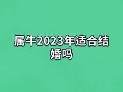 属牛2023年适合结婚吗:适合