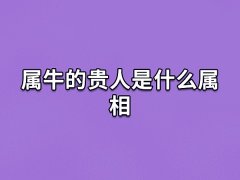 属牛的贵人是什么属相:生