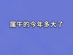 属牛的今年多大了,2023年属