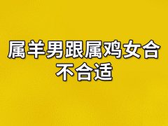 属羊男跟属鸡女合不合适