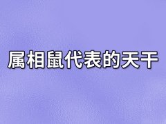 属相鼠代表的天干:癸水