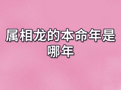 属相龙的本命年是哪年: